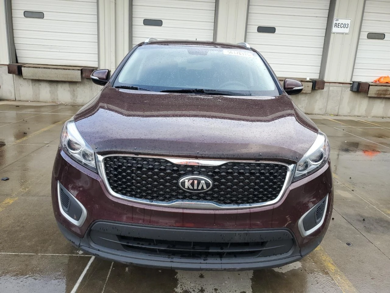 Kia Sorento  - изображение 6