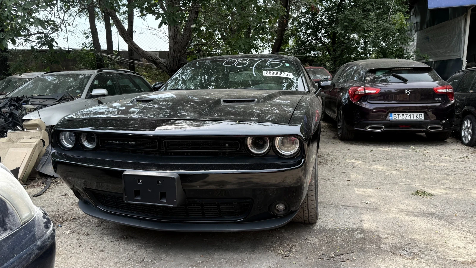 Dodge Challenger 3.6L  6 cyl - изображение 2