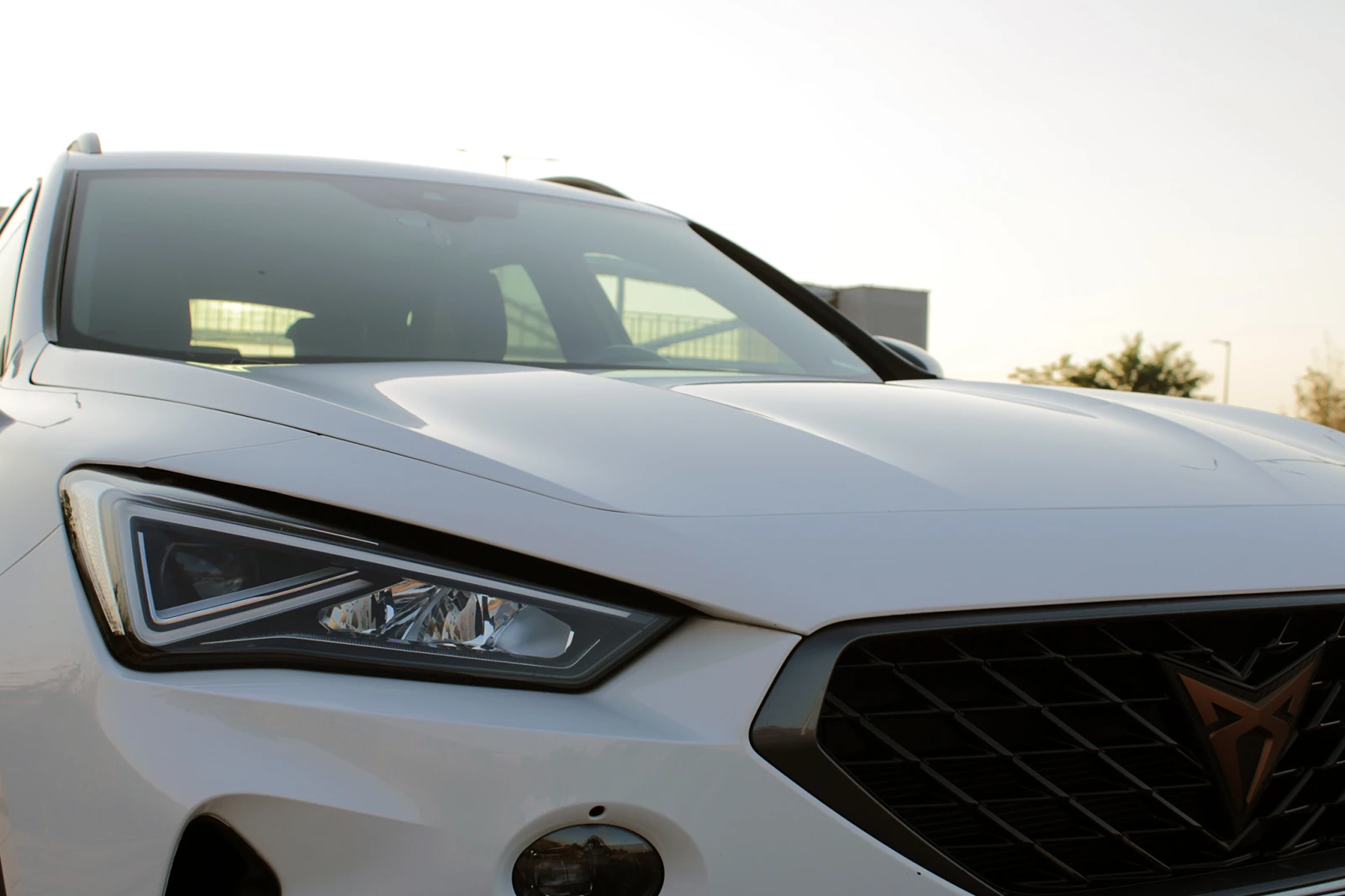 Cupra Formentor 1.5 TSI, снимка 7 - Автомобили и джипове - 53866839