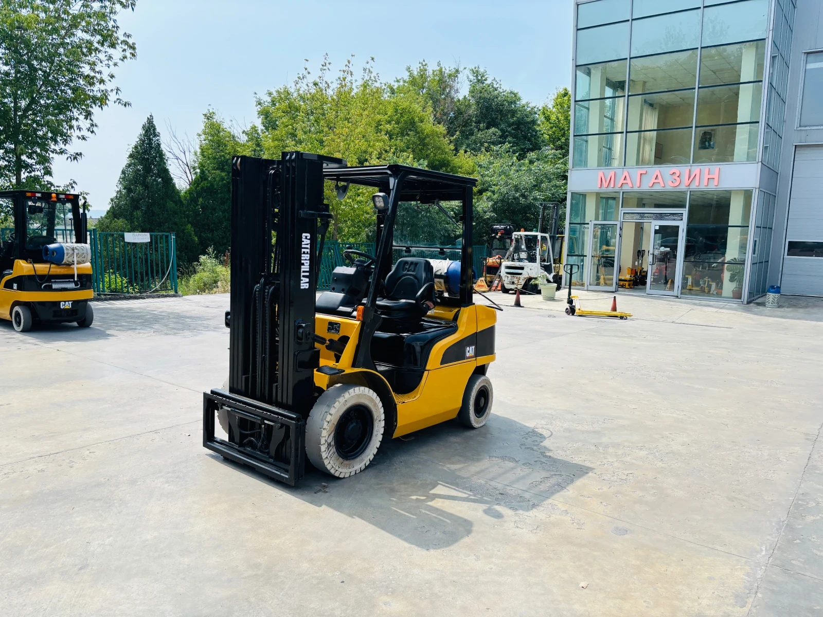  Cat  ,  | Mobile.bg   3