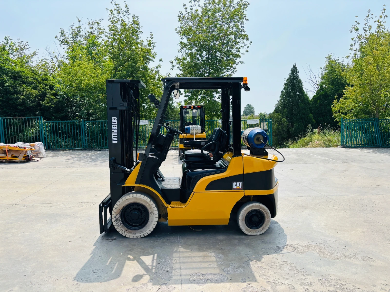  Cat  ,  | Mobile.bg   4