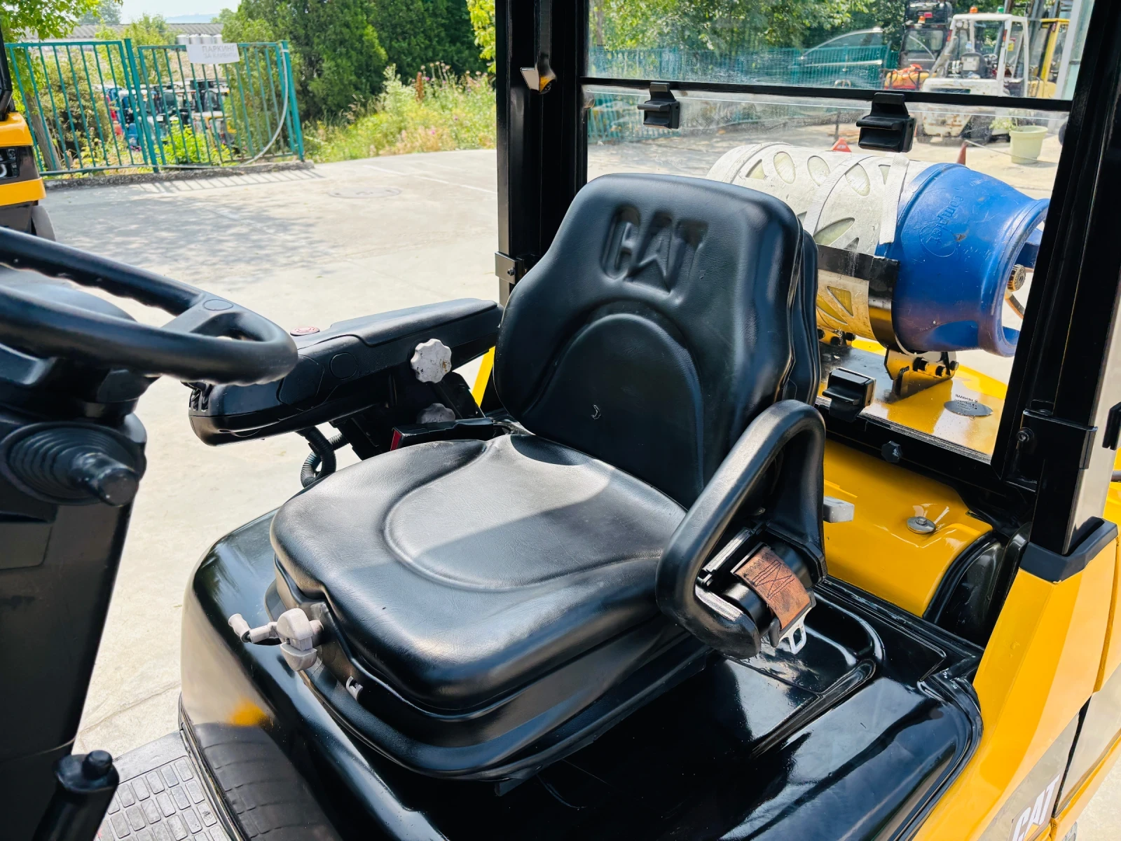  Cat  ,  | Mobile.bg   6