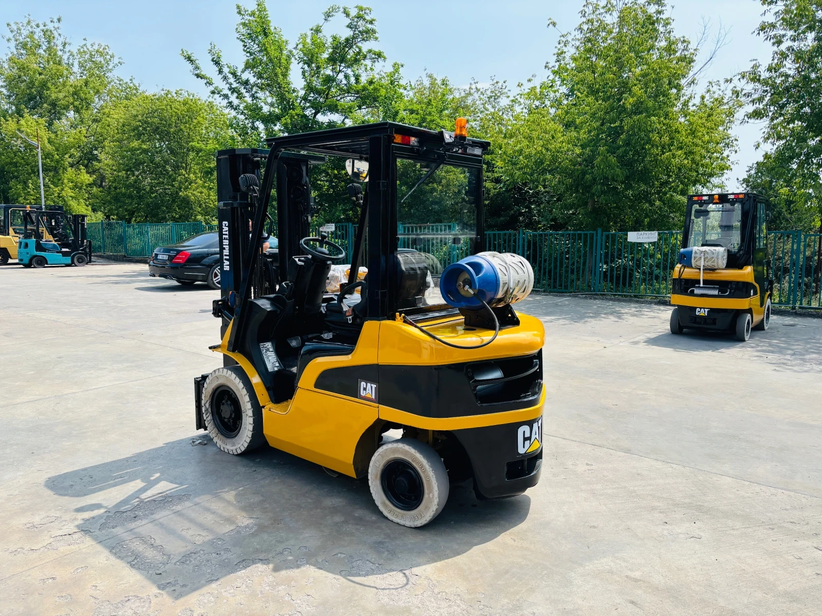  Cat  ,  | Mobile.bg   5