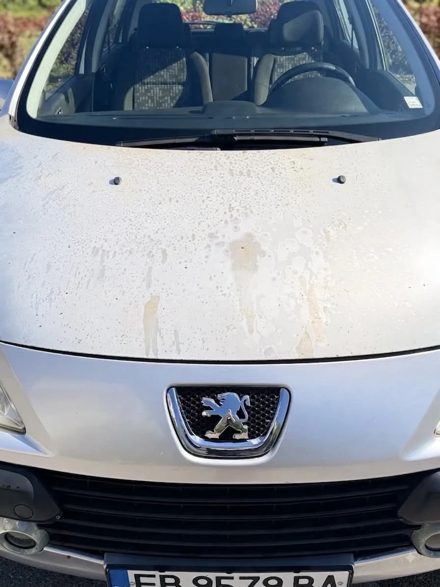 Peugeot 307 Hdi, снимка 2 - Автомобили и джипове - 55785870