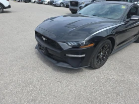 Ford Mustang EcoBoost Fastback CARFAX АВТО КРЕДИТ 