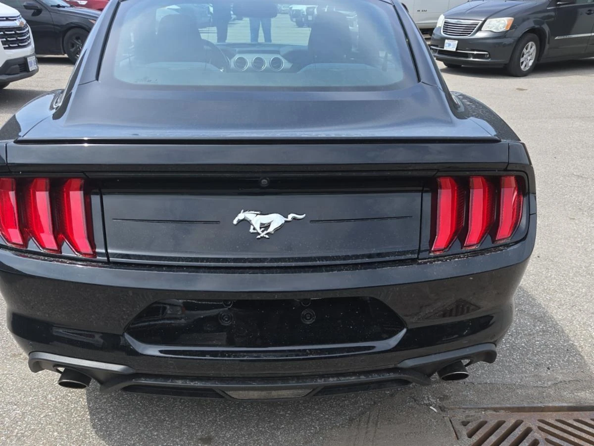 Ford Mustang EcoBoost Fastback CARFAX АВТО КРЕДИТ  - изображение 3