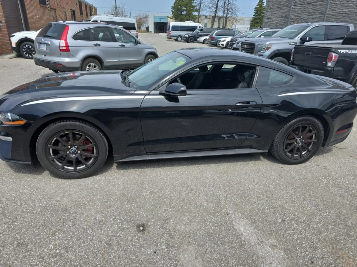 Ford Mustang EcoBoost Fastback CARFAX АВТО КРЕДИТ  - изображение 4