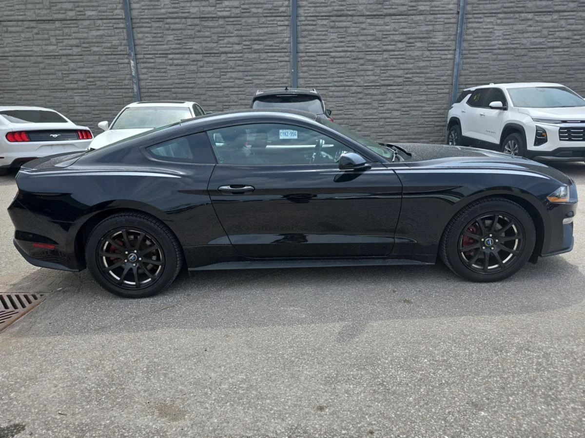 Ford Mustang EcoBoost Fastback CARFAX АВТО КРЕДИТ  - изображение 5