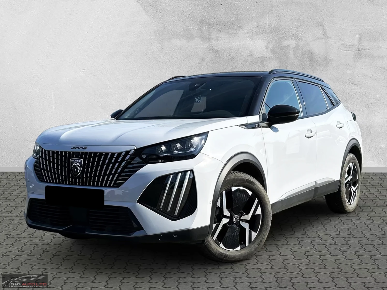 Peugeot 2008 GT/136HP/FACE/FULL-LED/360/NAVI/207h