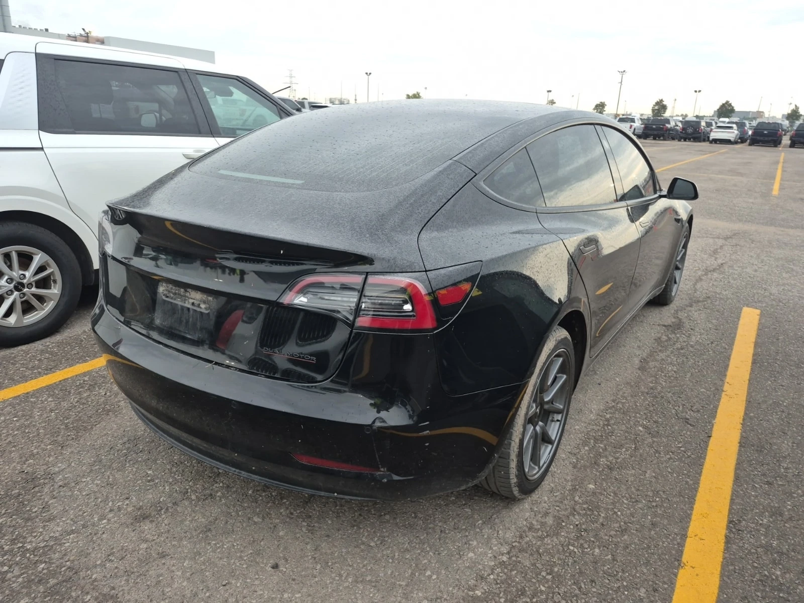 Tesla Model 3 * LONG RANGE * DISTRONIC* ПОДГРЕВ, снимка 3 - Автомобили и джипове - 56006991