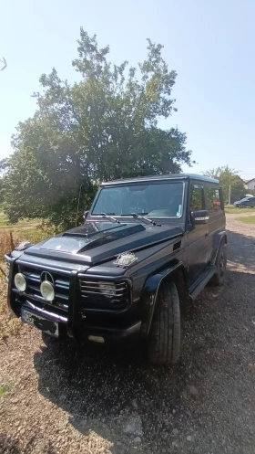 Mercedes-Benz G 350, снимка 1