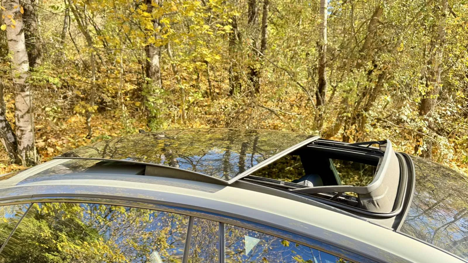 Audi A5 45 TFSI, S-line, Black Optics, Premium Plus | Mobile.bg � ����������� 12