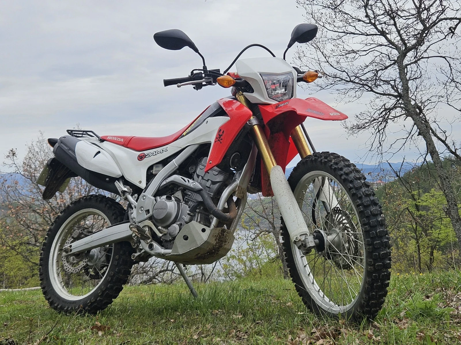 Honda Crf CRF 250L - изображение 2