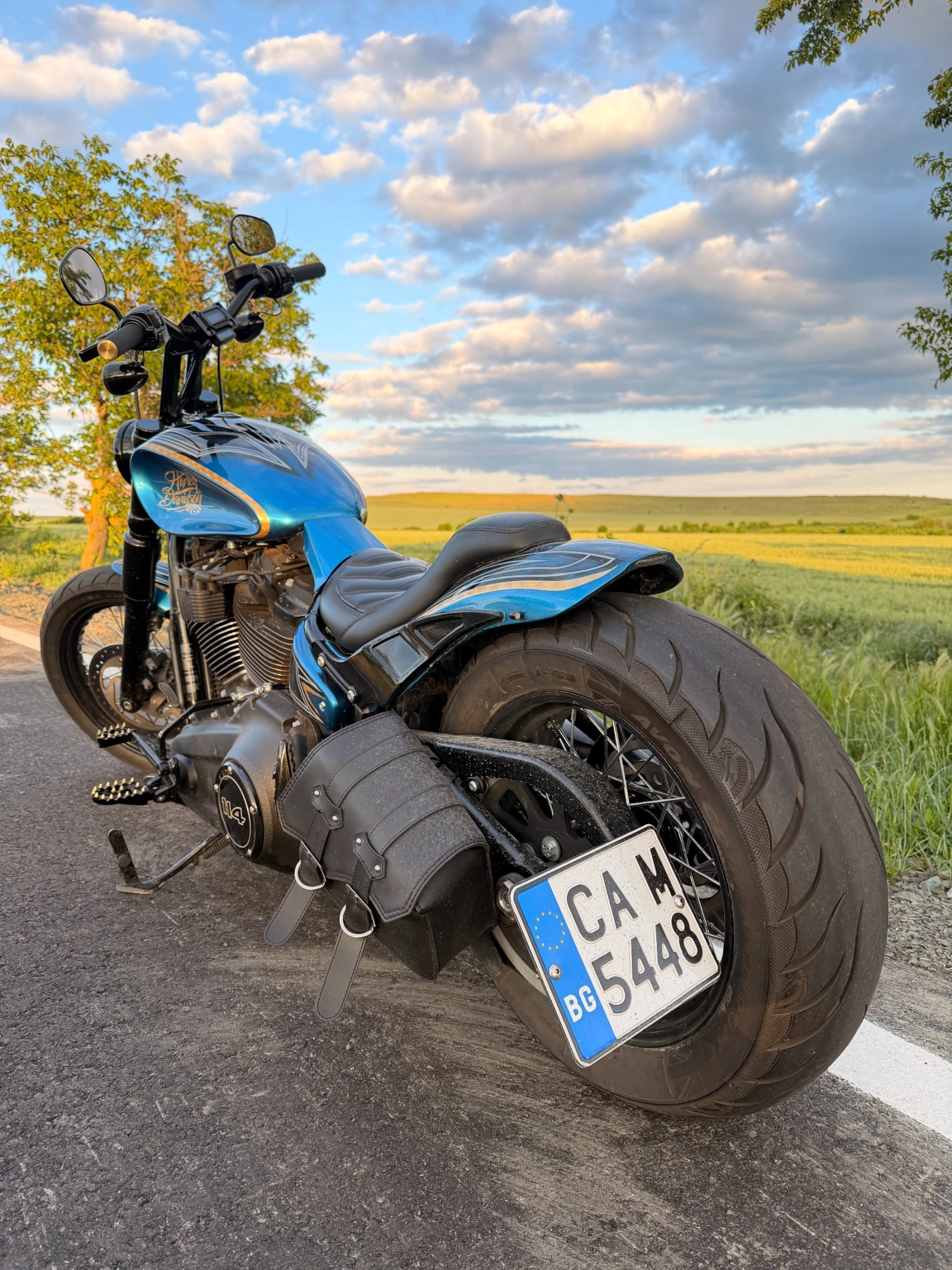 Harley-Davidson Softail FXBBS