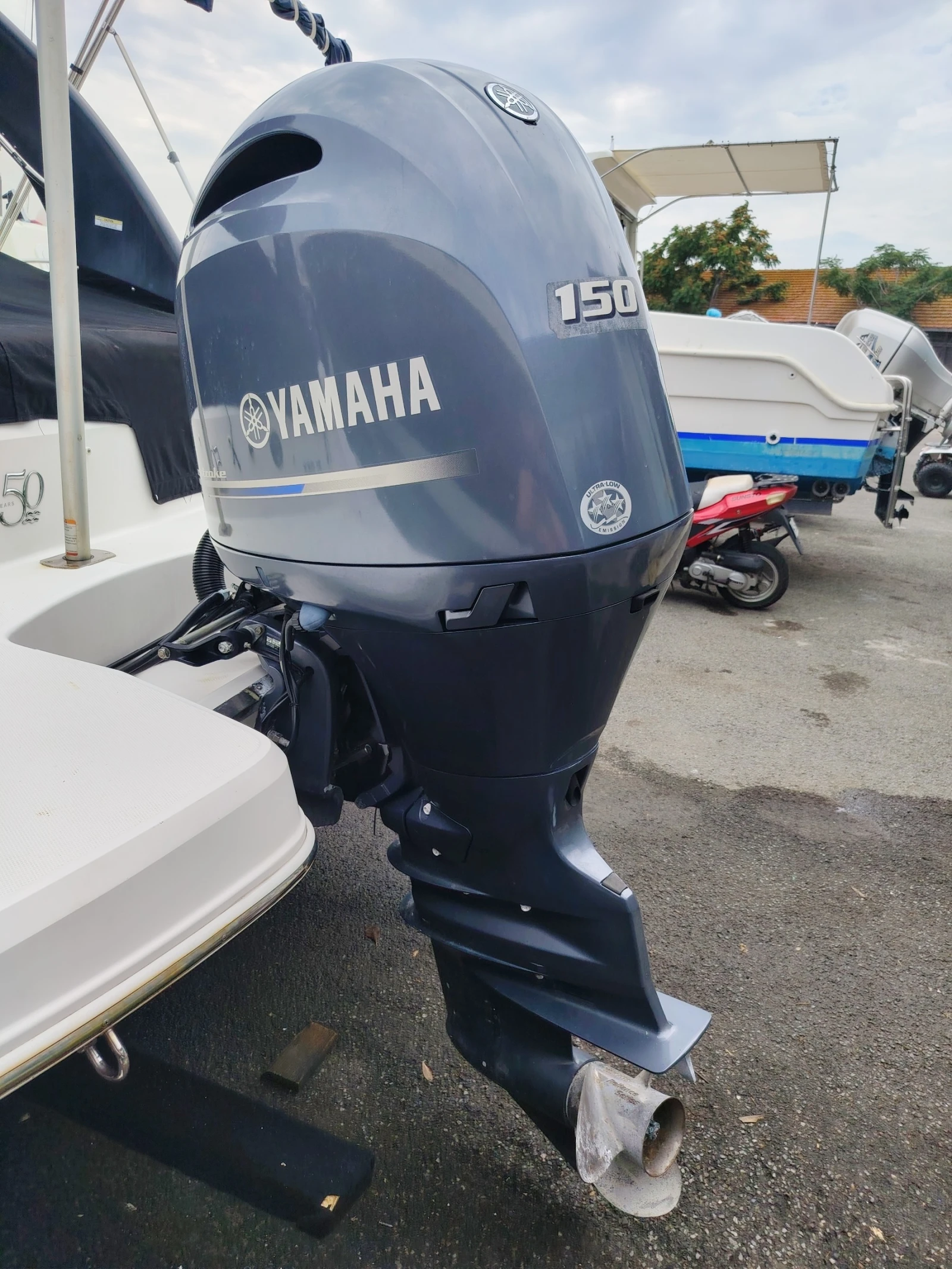   Regal 21 OBX | Mobile.bg   15