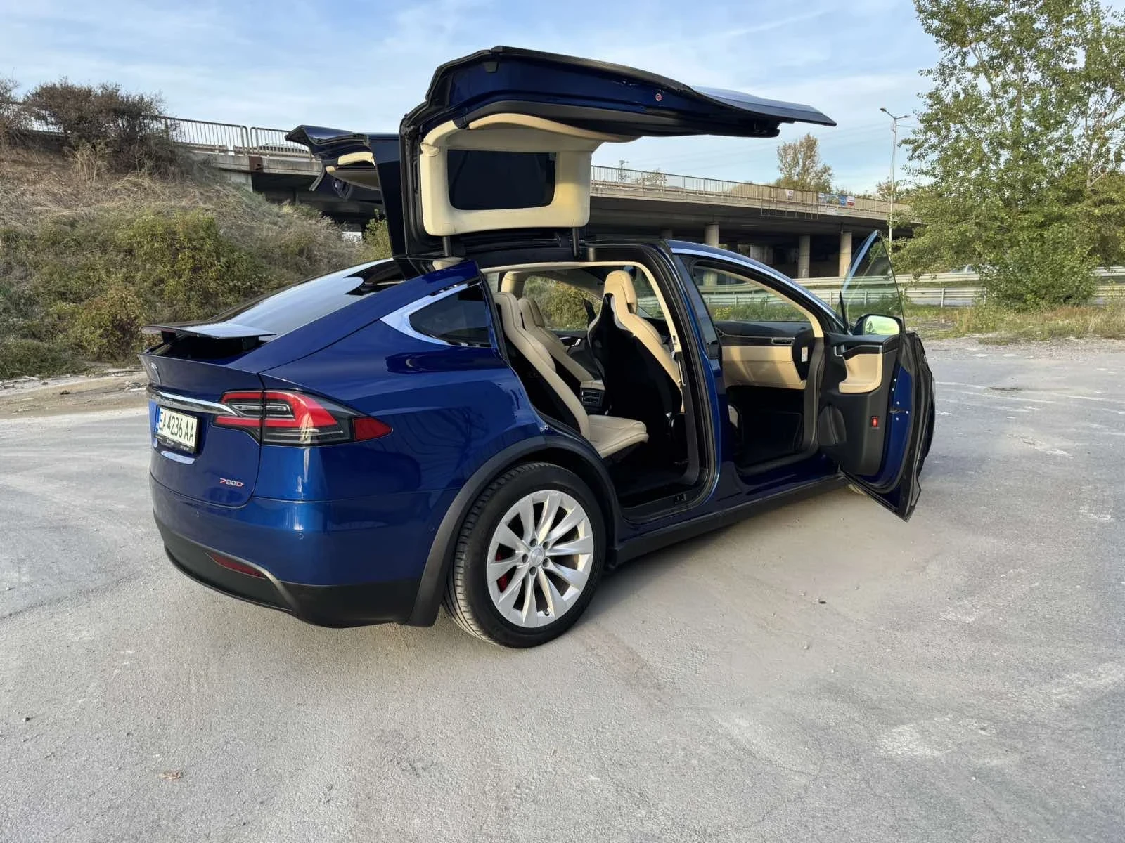 Tesla Model X P90 ludicrous+  - изображение 8