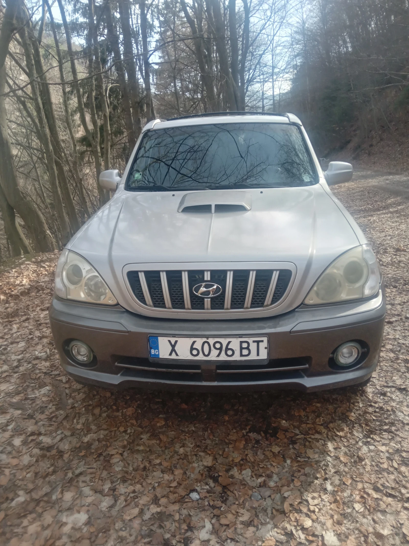 Hyundai Terracan, снимка 2 - Автомобили и джипове - 55663673