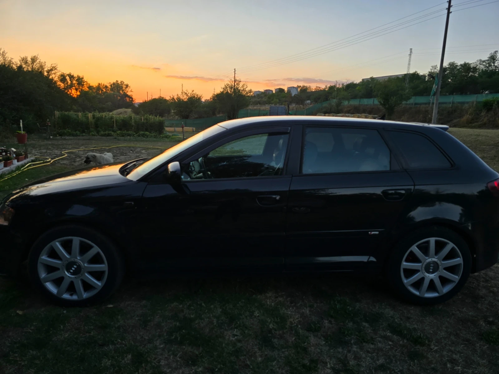 Audi A3  - изображение 7