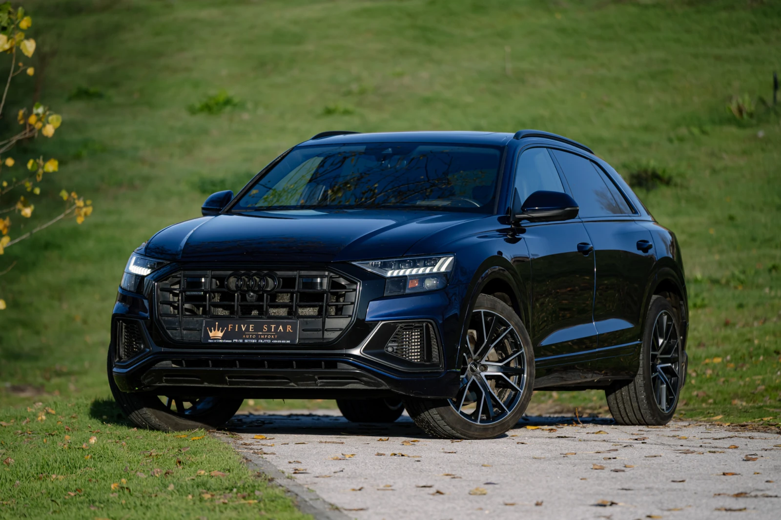 Audi Q8 Technik S-Line/������� ����� ����/B&O/������ | Mobile.bg � ����������� 1