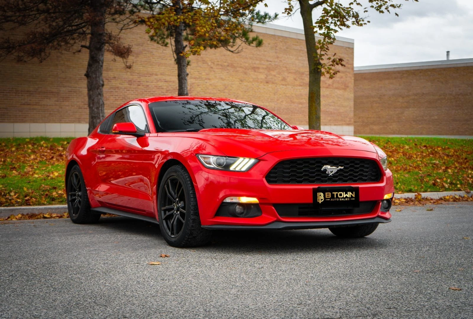 Ford Mustang 2.3 Ecoboost /    / Premium | Mobile.bg   1
