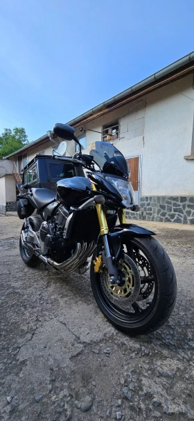     Honda Hornet