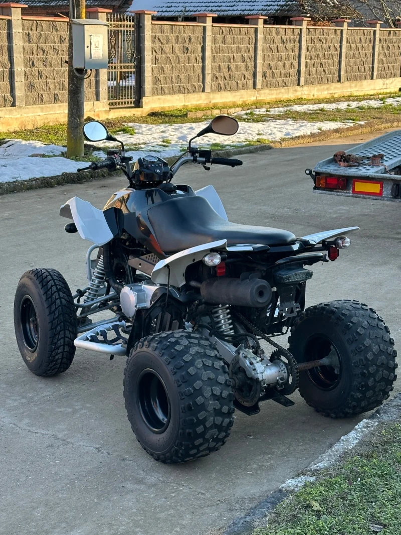 Arctic Cat Dvx Artic cat dvx 300, снимка 4 - Мотоциклети и мототехника - 53469940