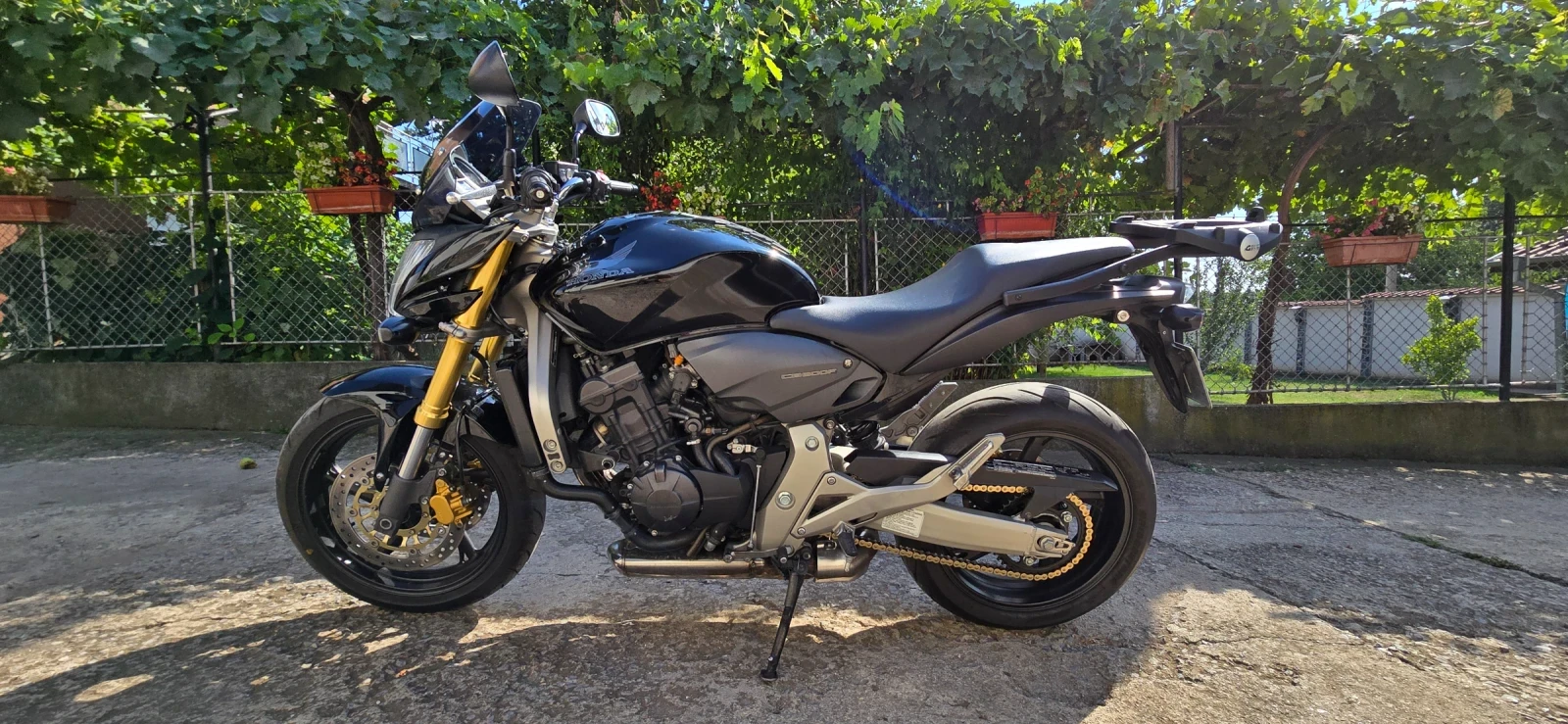 Honda Hornet  - изображение 4