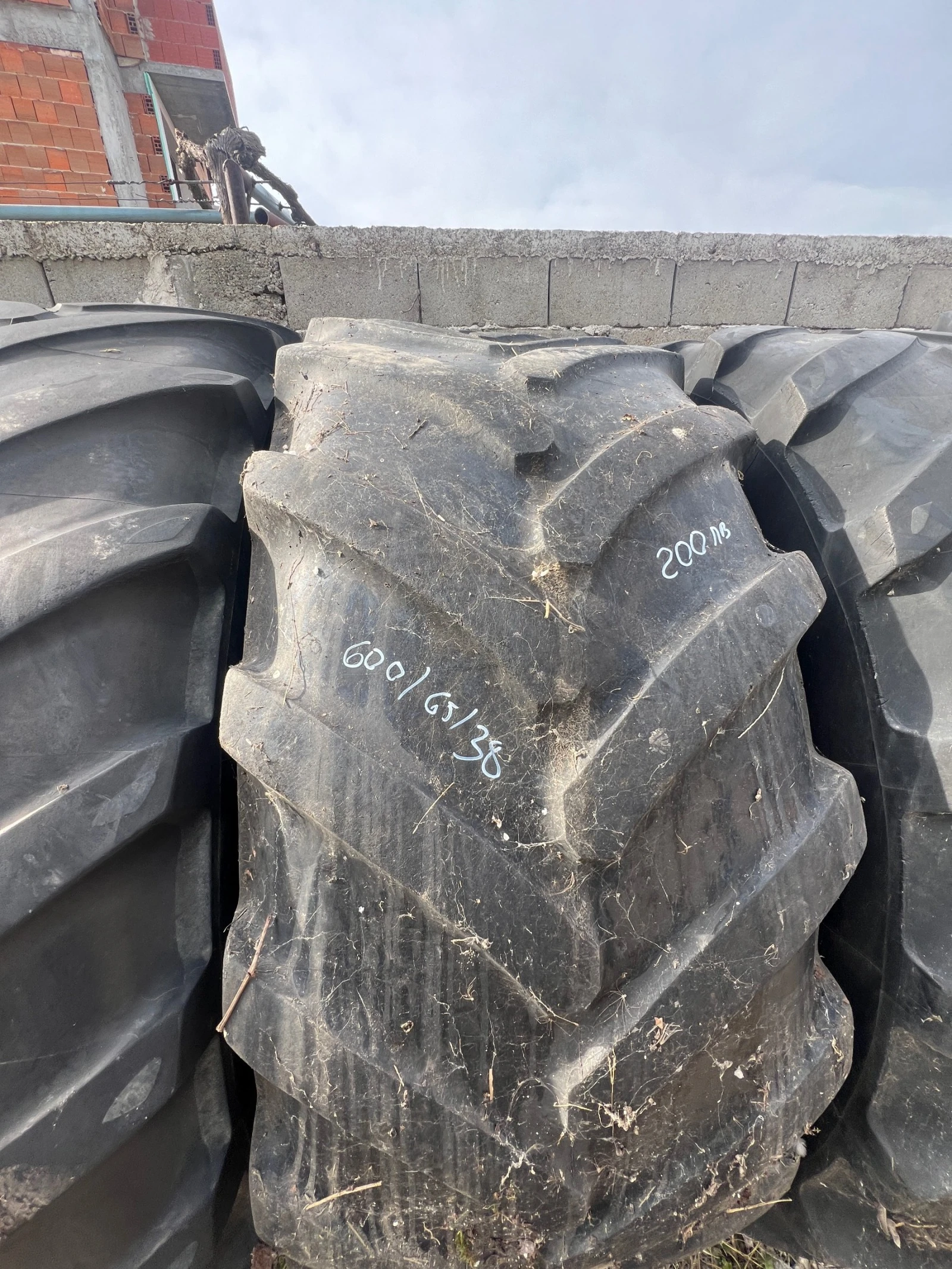 ���� | Mobile.bg � ����������� 5