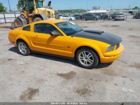     Ford Mustang V6 DELUXE