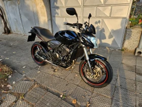     Honda Hornet