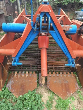 Друг вид Български Картофовадачка, снимка 3