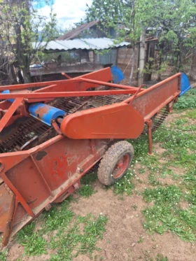 Друг вид Български Картофовадачка