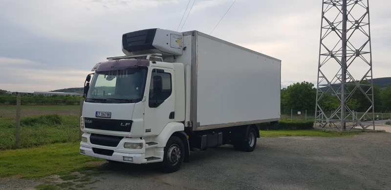 Daf Lf 250, снимка 1 - Камиони - 47489400