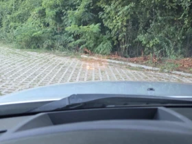 BMW 530 D M-PACK FACE FULL, снимка 16