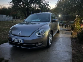 VW Beetle 2.0TDI  Coccinelle