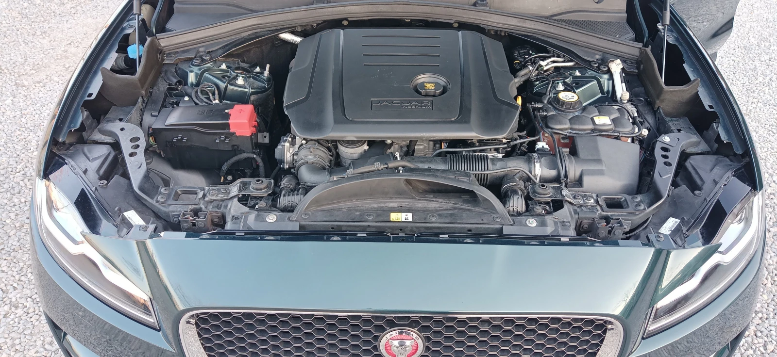 Jaguar F-PACE EXCLUSIVE/����/����/���/�� ����/����! | Mobile.bg � ����������� 16