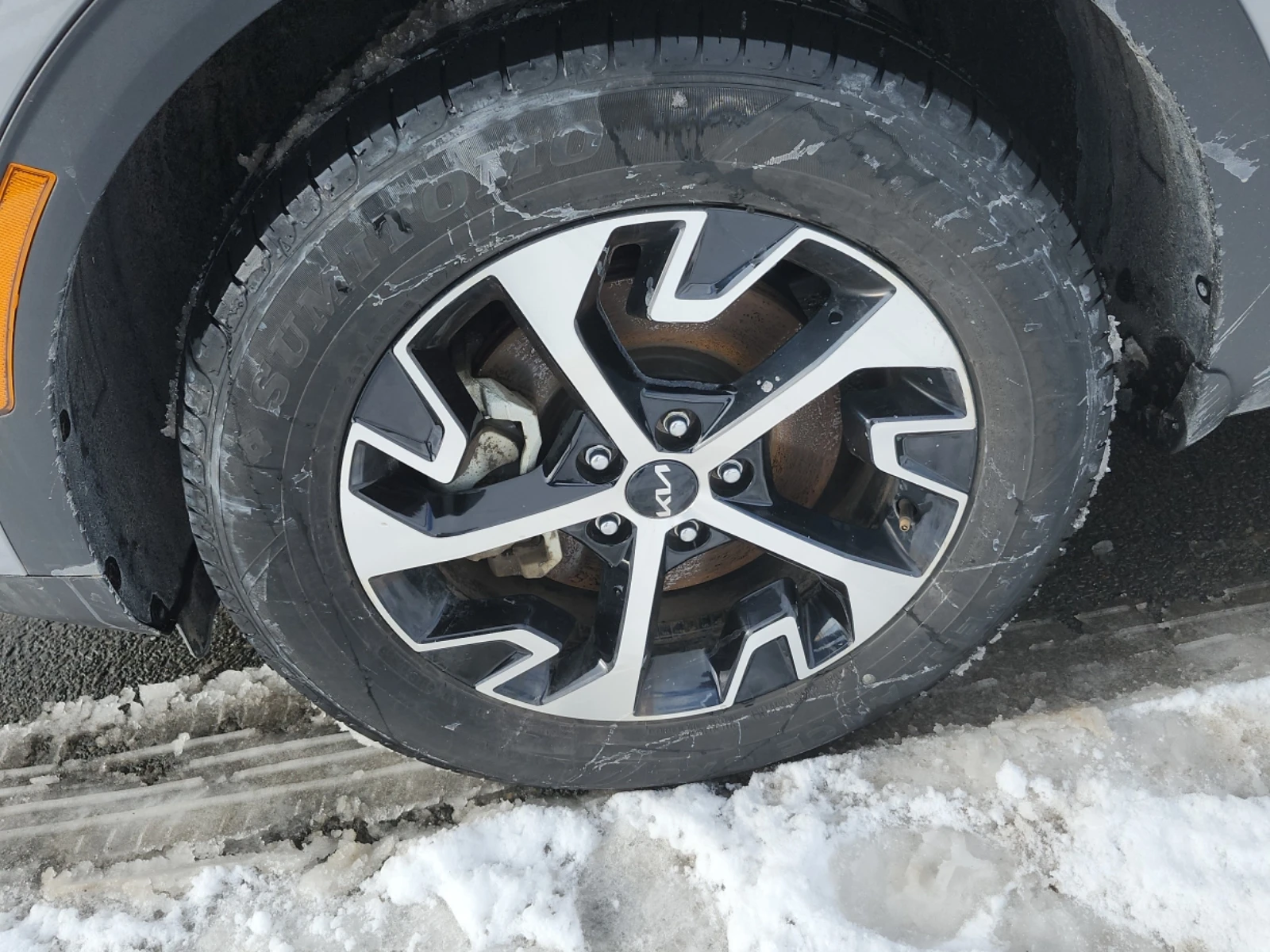 Kia Sportage EX| PANO| 4x4| LANE ASSIST| CARFAX - изображение 8