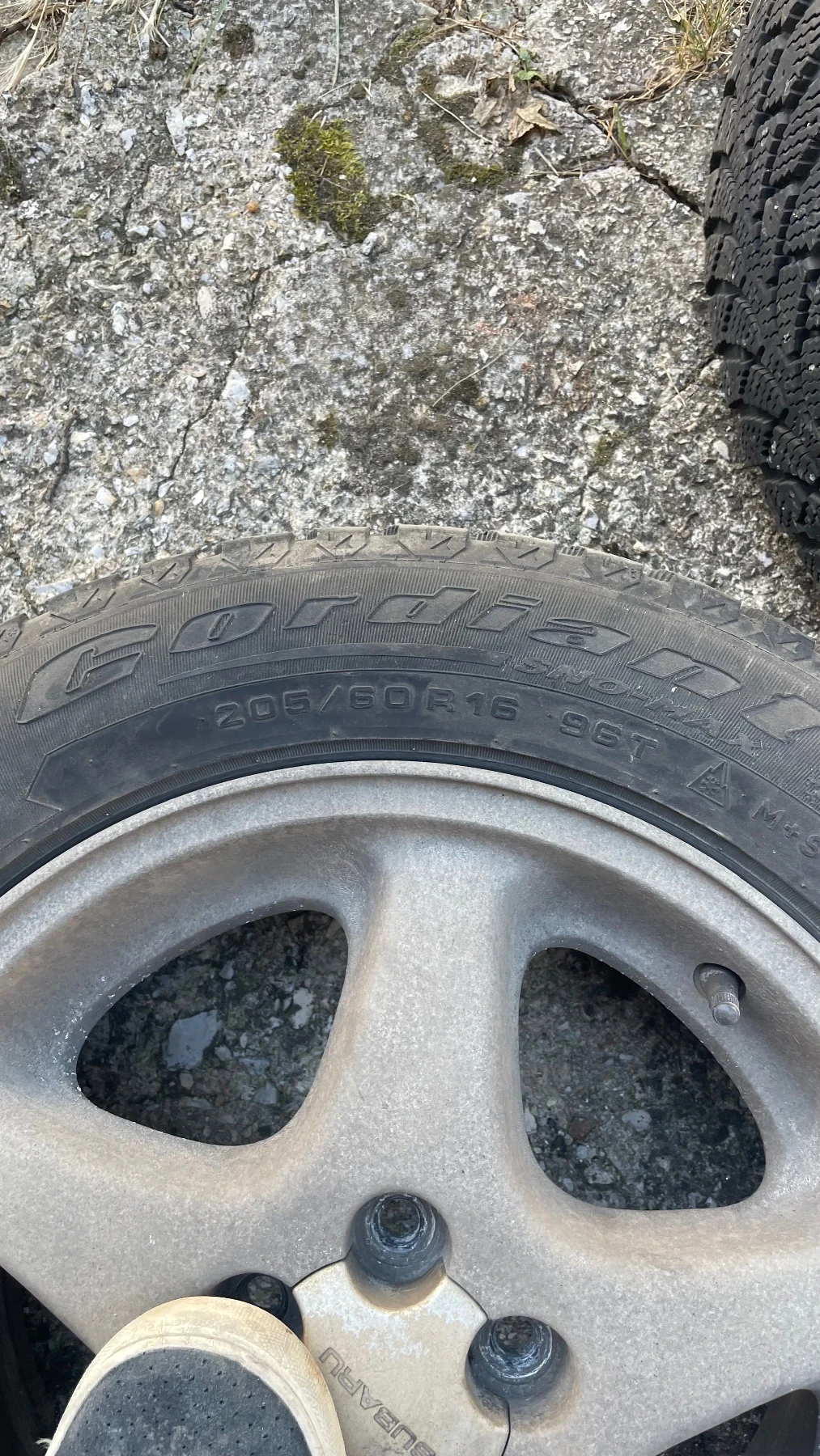 ���� � ������ 205/60R16 �� Subaru Legacy | Mobile.bg � ����������� 7