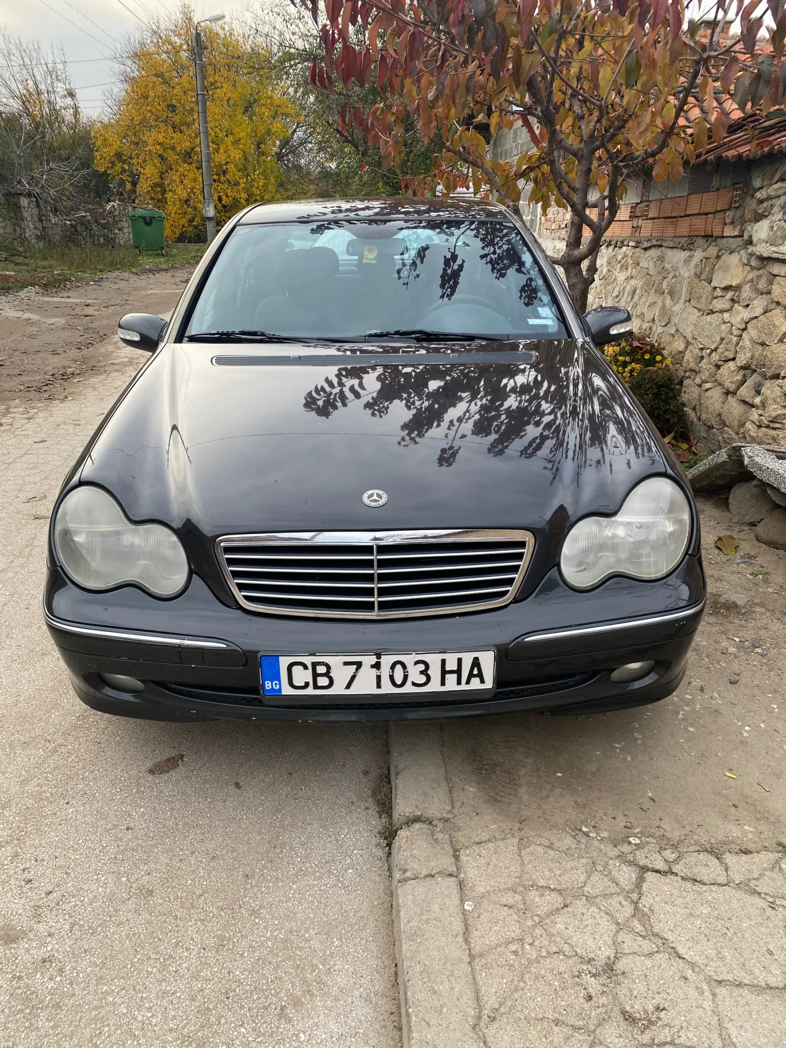 Mercedes-Benz C 220, снимка 1