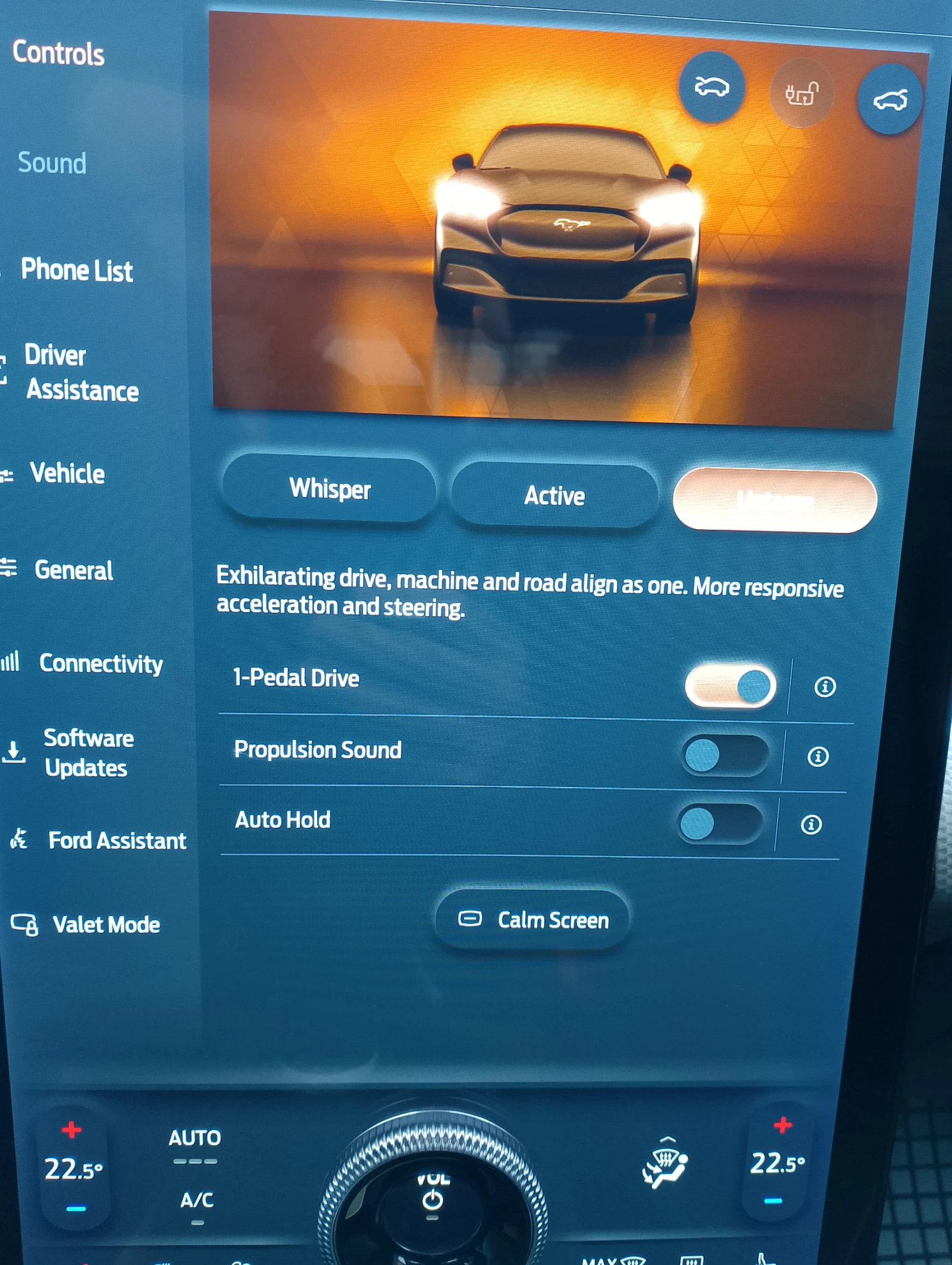 Ford Mustang Mach-E 76KW* RWD* 96.3%SOH* Bang & Olufsen* FordConnect - изображение 6