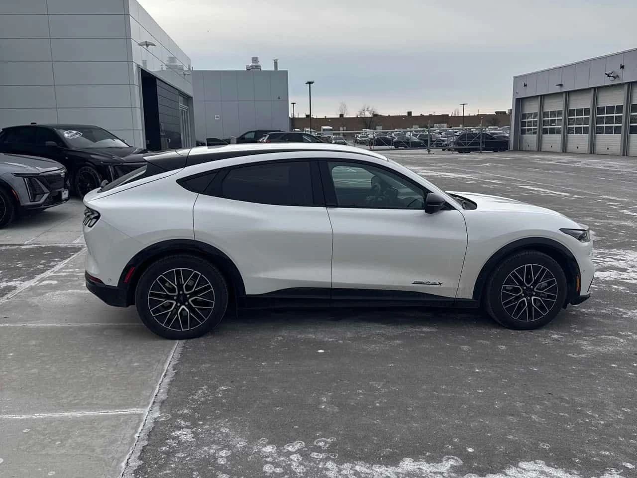 Ford Mustang Mach-E * Premium * 360 * ������� * CARPLAY * ����� | Mobile.bg � ����������� 3
