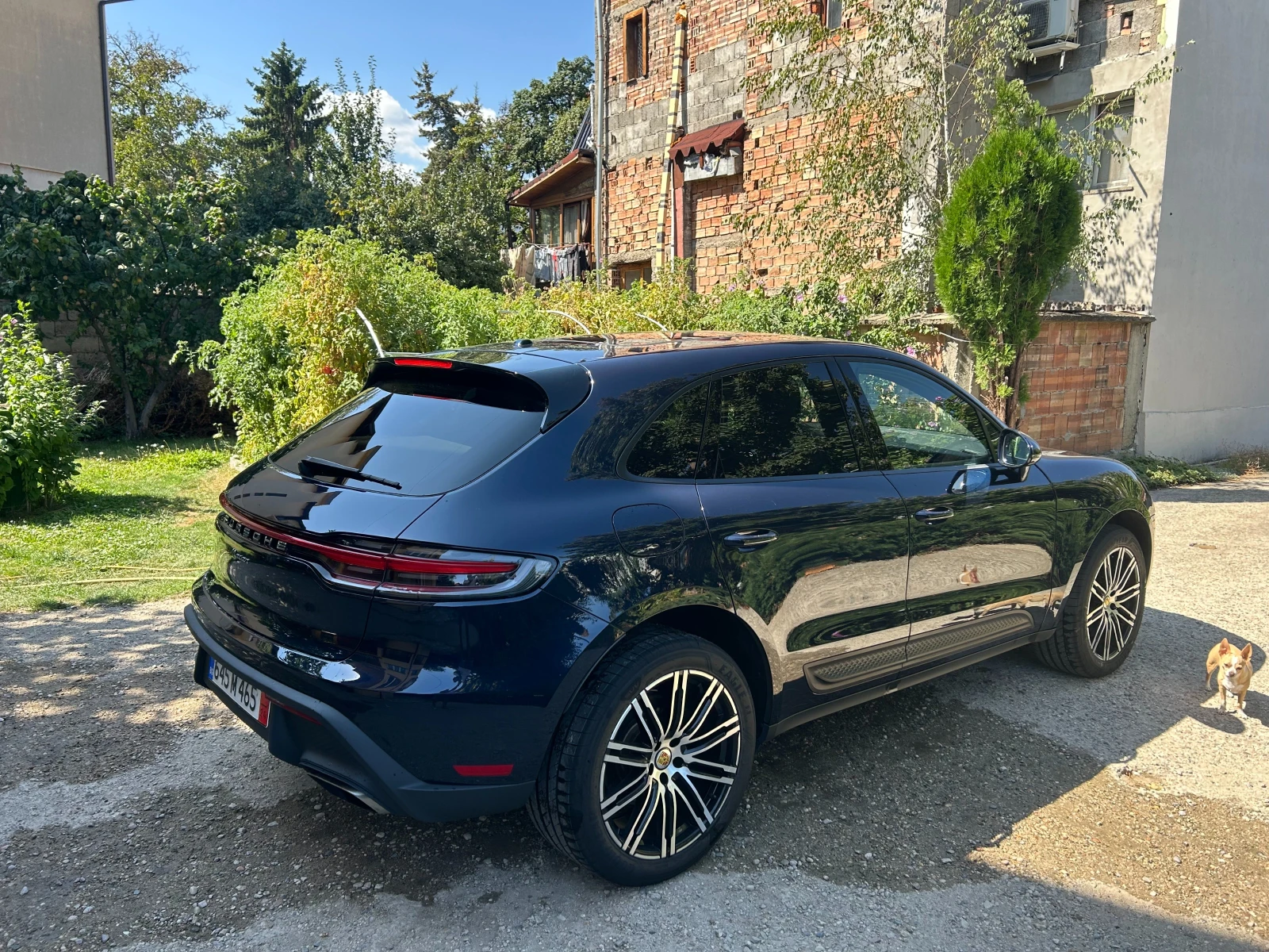 Porsche Macan Panorama - изображение 6