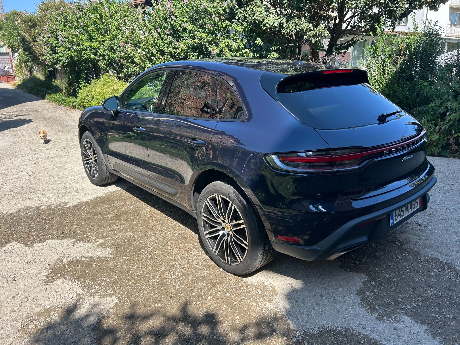 Porsche Macan Panorama - изображение 4