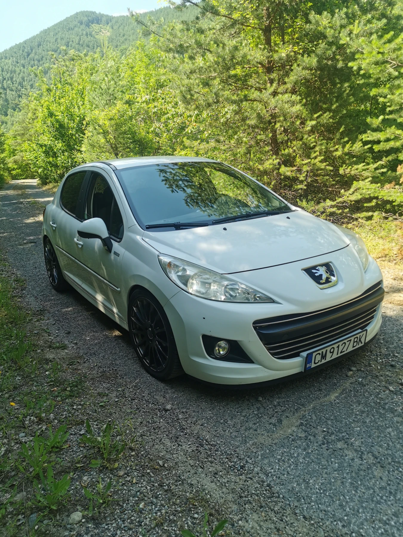 Peugeot 207 1.6HDI, снимка 3 - Автомобили и джипове - 55017384