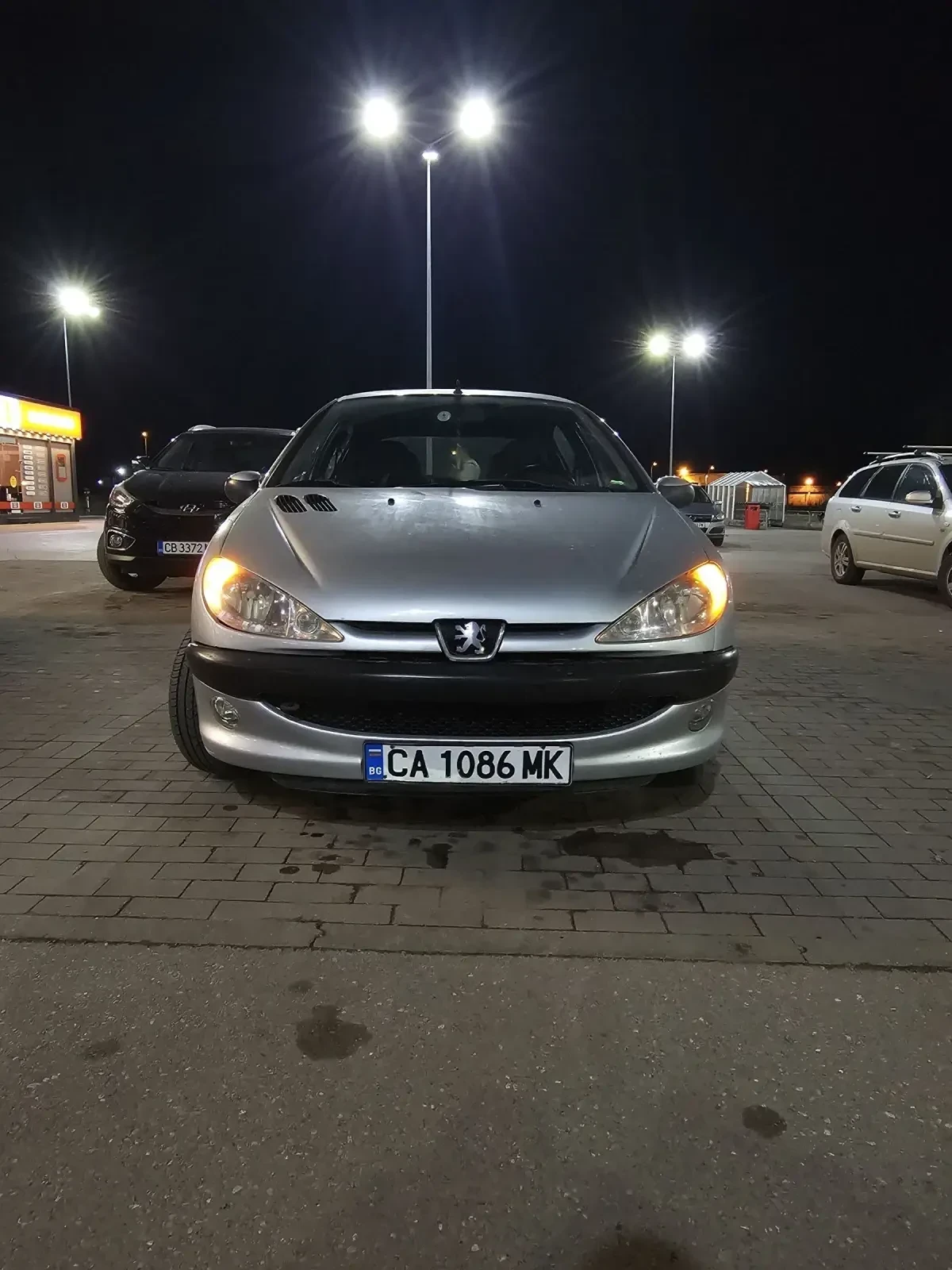 Peugeot 206 1.9d - изображение 7