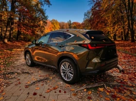 Lexus NX 350h, снимка 3