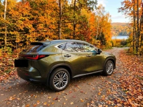 Lexus NX 350h, снимка 4