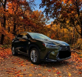 Lexus NX 350h 