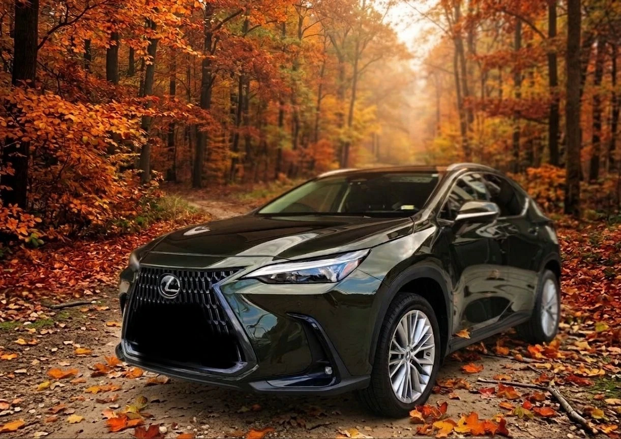 Lexus NX 350h, снимка 2 - Автомобили и джипове - 56637125
