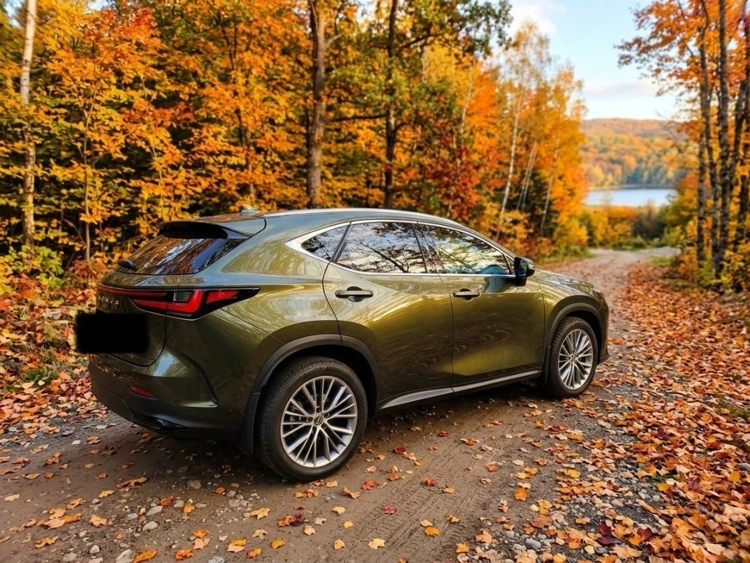 Lexus NX 350h, снимка 4 - Автомобили и джипове - 56637125
